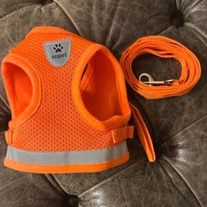 Orange Cat Harness and Leash Set